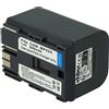 vhbw batteria compatibile con Canon MV530i, MV650i, MV630i, MV600i, MV550i, MV730i, MV700i, MV700 videocamera camcorder (2800mAh, 7,2V, Li-Ion)