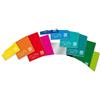 Blasetti Maxi, Quaderno Formato A4, Rigatura 4F, Quadretti 4 mm con margine, Carta 100G/Mq, Pacco da 10 Pezzi