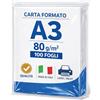 Kartoflak Risma Carta Formato A3 per Stampanti Fotocopiatrici multifunzione Laser e Inkjet, Bianca, 80 g/m², Qualità Naviator adatta per Ufficio, Scuola, Locandine, Libri e Cataloghi (Risma 100 Fogli)