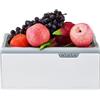 Generic Macchina automatica per la pulizia di frutta e verdura con cestello di scarico e controllo a pulsante
