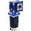 Generico Motore riduttore a vite senza fine compatibile RV30 12V/24V DC | Motoriduttore monoalbero da 200 W con rotazione orario/antiorario.(42rpm,24V)