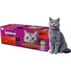 Whiskas Cibo umido per gatti adulti 1+ selezione classica in salsa 40 x 85 g Mega Pack