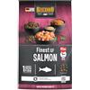 Belcando Finest GF Salmon [4 kg] Cibo per cani senza cereali | Cibo secco per cani di taglia media o piccola | Alimento completo per cani di almeno 1 anno