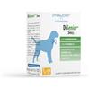 DYNAMOPET | Dìsenior Small - Alimento Complementare per Cani Anziani, Confezione 10 stick da 10 g - uno Stick ogni 20 kg di Peso dell'Animale