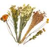 Generic Biancheria da Letto Floreale per criceti, Biancheria da Letto per criceti con Fiori secchi, Decorazione per Habitat Floreale Animale, Decorazione a Tema Naturale per gerbilli