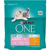 Purina One Bifensis Crocchette Gatto Junior 1-12 Mesi, Ricco in Pollo e Cereali Integrali - 10 sacchi da 450 g ciascuno (Confezione da 10 x 450 g)