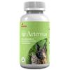 Generico Artennua 90 compresse 475 mg, mangime complementare per cani e gatti con artemisinina, per il trattamento di patologie e il sostegno del sistema immunitario