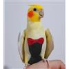 Kuso Pannolino per Pappagallo Riutilizzabile Lavabile Tuta da Volo Vestito Kimono Abbigliamento per Uccelli Cocorita Parrocchetto Calopsitta Conuro Cacatua Ara Africana (Piccola, Nero)