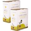 Gustonatura Succo di mela BIO 2 x 3 L Bag‑in‑Box con rubinetto (6 L) - senza zuccheri aggiunti - Made in Italy - Mele Raccolte a Mano - Gustonatura