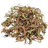 AgoraMarket Spaccapietra Secca 40g - 1,95kg Asplenium ceterach (40 grammi)