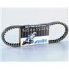 POLINI Pln248003 - cinghia variatore trasmissione
