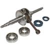 TOP-DR IM07059 ALBERO MOTORE CON CUSCINETTI COMPLETO DR MINARELLI ORIZZONTALE 50CC