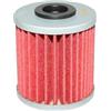 TERAM LOISIRS Filtro olio per Kawasaki KXF 250 2004 2005 2006 2007 2008 2009 2010 2011 2012 2013 2014 2015 2016 2017 2018 2019
