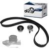 DOLZ KD109 Kit cinghia distribuzione pompa acqua N° denti: 194 24,0 mm Compatibilità con OPEL COMBO Cassone/Furgonato/Promiscuo X12 Combo Combi/Tour X12, FIAT GRANDE PUNTO 199 500X 334