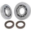 GENERICO Kit Revisione Albero Motore Con Paraoli Corteco PIAGGIO - GILERA 125-150 - 180 cc