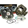 Malossi Kit cilindro Malossi Sport 70cc per Kymco Cobra, Top Boy, Dink AC, Spacer, People, Yup, Yager (thread corto)