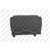 PRASCO Griglia radiatore SZ0391220 vorne | Compatibile con: SUZUKI SWIFT V