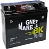 Generico Batteria 12N20AH-BS 12V 20AH AGM 275CCA Compatibile con BMW R 850 1100 R GS R 1150 R RS RT Senza Manutenzione, Completa di Liquido per Attivazione