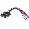 BASPHHH Compatibile con Fiat per 500X 2014-2024 61132359993 Connettore per lampada fanale posteriore a 6 pin cablaggio precablato