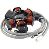 RIDE AND CUSTOM Statore compatibile con Gilera Runner 50 1997-2000