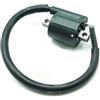Generic Beta 021.40.051.00.00 Bobina Ricambio Originale Enduro RR 50 / Motard RR 50