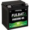 FULBAT - Batteria moto YHD30HL-BS, impermeabile, al gel, 12 V / 30 Ah, speciale Harley