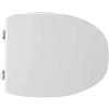 Dianhydro Copriwater Coprivaso Tavoletta SEDILE WC PER FLAMINIA VASO SPIN BIANCO