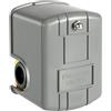 reamhome Interruttore per pompa da pozzo, pressostato dell'acqua 40-60psi differenziale regolabile, 1/4 di pollice femmina NPT pressione dell'acqua
