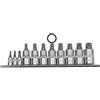 Famex 10720 - Inserti per viti XZN a molti denti, misure 4-16, 11 pezzi