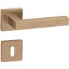 Gedotec Maniglia per porta in ottone spazzolato | 1 set | Set completo di rosetta su rosette angolari | KARAT | BB - Buntbart | Türklinke per porte interne | Set di maniglie con materiale di fissaggio