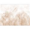 murando Carta da parati Foglie 500x350 cm Fotomurali in TNT Murale alla moda Decorazione da Muro XXL Poster Gigante Design Carta per pareti Natura Foglie di Palma Botanico beige b-A-10300-a-b
