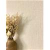 Newroom carta da parati TNT beige tinta unita effetto lino camera da letto | trama tessile fine opaca, beige sabbia caldo naturale, stile boho, soggiorno, casa di campagna