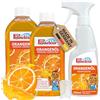 Pastaclean® Detergente per olio d'arancio, concentrato, 2 x 500 ml, detergente universale, sgrassante, smacchiatore, detergente multiuso con elevato potere sgrassante