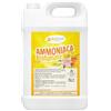 Guestcare Ammoniaca 5 Litri Ammoniaca Liquida per Pavimenti e Superfici Dure. Sgrassa e Non Necessita Risciacquo Detersivo Pavimenti Profumato (1 Pezzo, Classica)