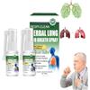 Caduola Spray alle erbe per i polmoni e l'alito, Spray detergente alle erbe per i polmoni, Spray alle erbe per i polmoni e l'alito, Allevia il disagio corporeo L'affaticamento Rilassa il corpo (2 PCS)