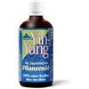 B.O.N BEST OF NATURE Best of Nature - Olio Vegetale Giapponese YinYang BIO - 100 ml