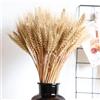 Generico 300 Pezzi Di Grano Secchi, 45 Cm Fascio Di Spighe Di Grano Decorativi Naturale Per Casa, Tavola, Autunno, Matrimonio, Centrotavola E Lavoretti Fai Da Te