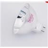 AMNOUR DN-35269 64629 12V 100W EFP/6 12V100W Lampadina di ricambio Endoscopio Lampada for microscopio con sorgente di luce fredda(1 piece)