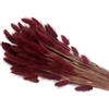 Zelda Bomboniere Lagurus Colorata Naturale Stabilizzata Colorata 100 Gr Bordeaux