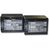 vhbw 2 x Batterie VHBW 1300mAh compatibile con Foto/Videocamera Sony DCR-SR58E, DCR-SR68E, DCR-SR78EDCR-SR88E, HDR-XR155E, DCR-SX41E, DCR-DVD115E, DCR-SX33E