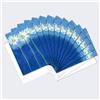 Tree-Free Greetings 66585 - Set di 12 biglietti con margherite su sfondo blu