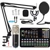 AIRYSSFU Kit scheda audio, Microfono a condensatore professionale BM 800 Scheda audio wireless V10 PRO for PC Computer Telefono Karaoke Gioco di canto dal vivo(Silve BM800 V10XPRO)