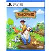 Maximum Entertainment MDM MERIDIEM GAMES Paleo Pines