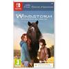 Mindscape WINDSTORM: AN UNEXPECTED ARRIVAL CiB