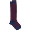 Gallo Calze lunghe uomo cotone royal/papavero vanisé