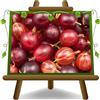 EURO PLANTS VIVAI Uva Spina Rossa - Pianta da Frutto Antico su Vaso ø 15~20 cm - Età 2 Anni
