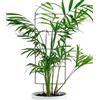 Generico Supporto Per Piante - Ferro 76x30 Cm | Traliccio Metallico | Di Supporto Per Piante Per Interni Ed Esterni, Giardino, Balcone, Patio, Vasi Da Fiori E Viti Rampicanti, Decorazioni Per La Casa E