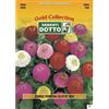 Sementi Dotto Semi di Zinnia Pompon Lilliput in Mix - h cm 75