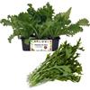 P. Piantine da Orto | Indivia Riccia, Pianta da Orto o Balcone Pronta al Trapianto, Kit da 9 Piantine, Pianta Vera da Esterno, Vivaio Italiano
