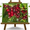 EURO PLANTS VIVAI Ciliegio Dolce Ferrovia - Pianta da Frutto Antico su Vaso: ø 24/26 cm. - *Altezza: 180~200 cm. - Età 4 Anni